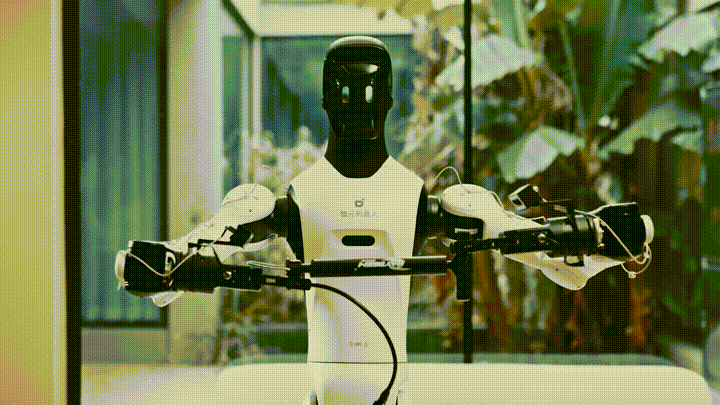 1780898385722328.gif 640.gif